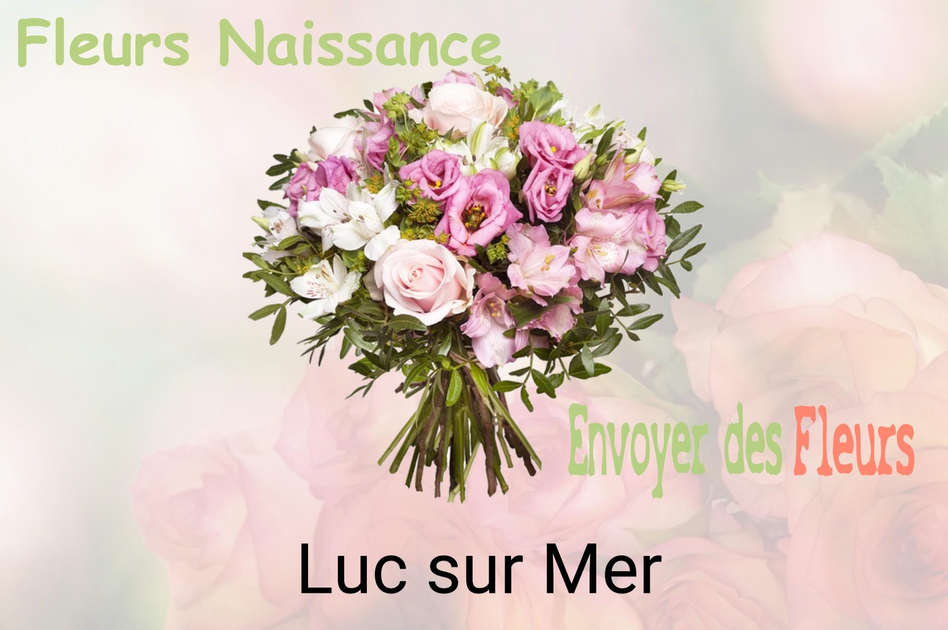 Bouquet de fleurs de naissance livré à Luc-sur-Mer